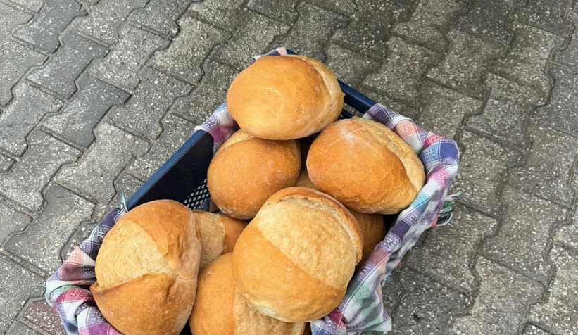 akyazi-acelle-yaylasinda-karli-kis-sartlarinda-yaban-hayvanlarina-yardimr0y4a3pnog