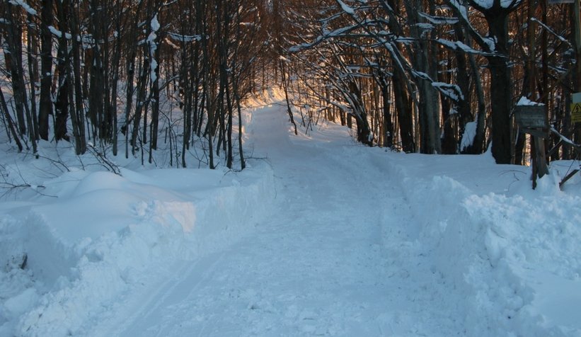 Akyazı Belediyesi kızak şenliği düzenliyor