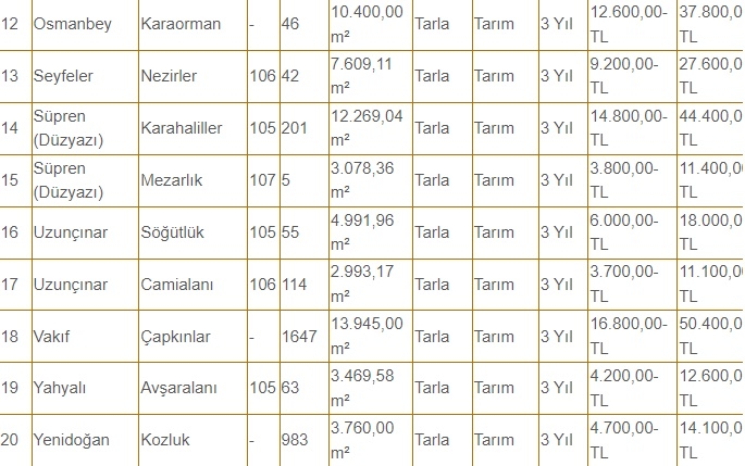 Akyazı Belediyesi'nden kiralık bahçe ve tarlalar