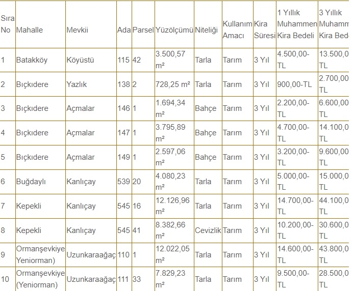 Akyazı Belediyesi'nden kiralık bahçe ve tarlalar
