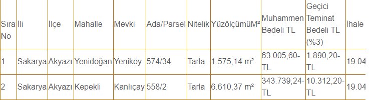 Akyazı Belediyesi'nden satılık iki tarla