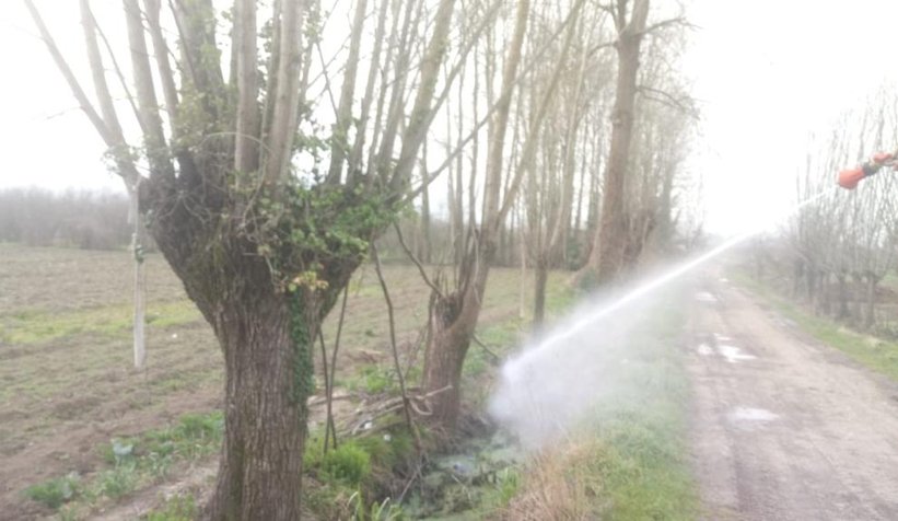 Akyazı Belediyesinden Arıcılara ilaçlama uyarısı 