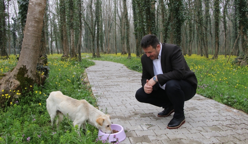 akyazi-belediyesinden-cocuklar-icin-yarismaagrkqst3tv