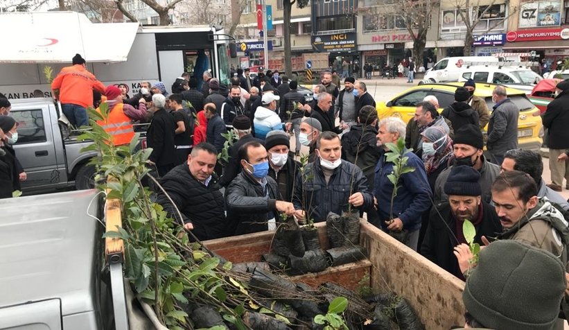 Akyazı'da 1200 fidan dağıtıldı