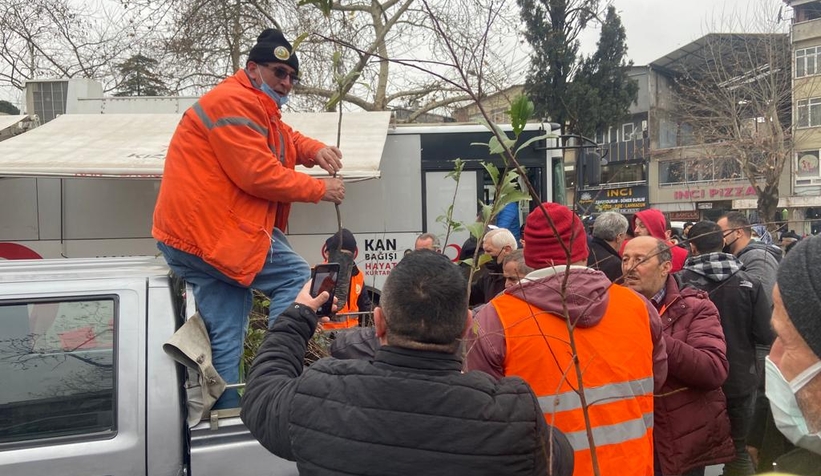 Akyazı'da 1200 fidan dağıtıldı