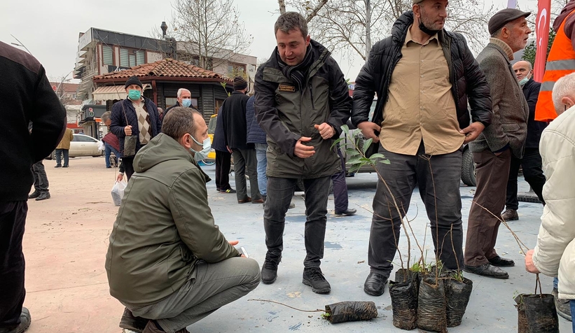 Akyazı'da 1200 fidan dağıtıldı
