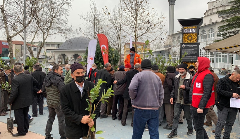 Akyazı'da 1200 fidan dağıtıldı