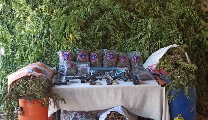 Akyazı'da 70 kilo esrar ele geçirildi: 3 gözaltı