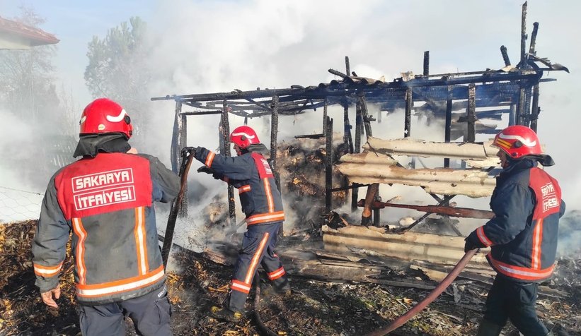 Akyazı'da ahır yangınında iki büyükbaş hayvan telef oldu
