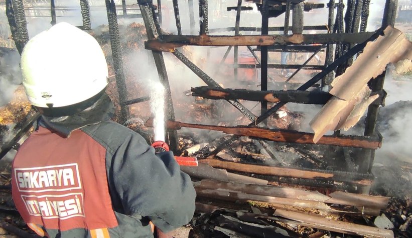Akyazı'da ahır yangınında iki büyükbaş hayvan telef oldu