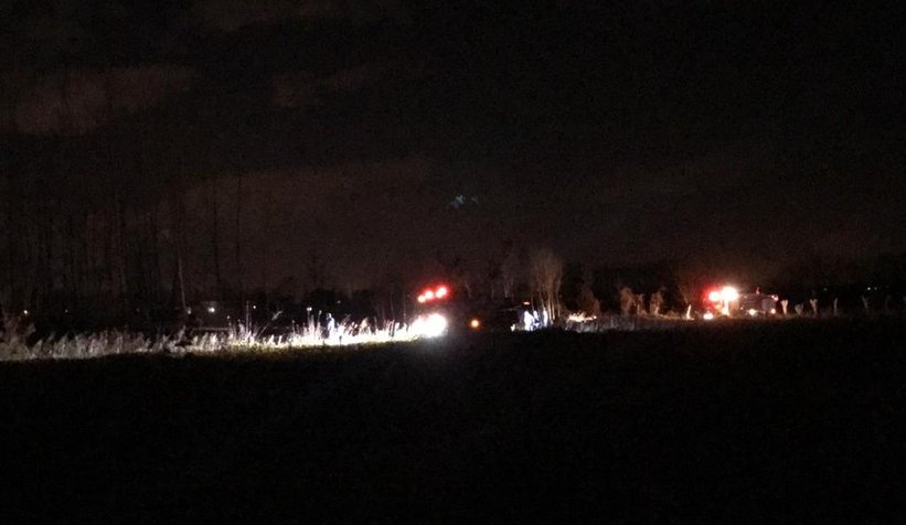 Akyazı'da anız ateşi ağaçları kül edecekti