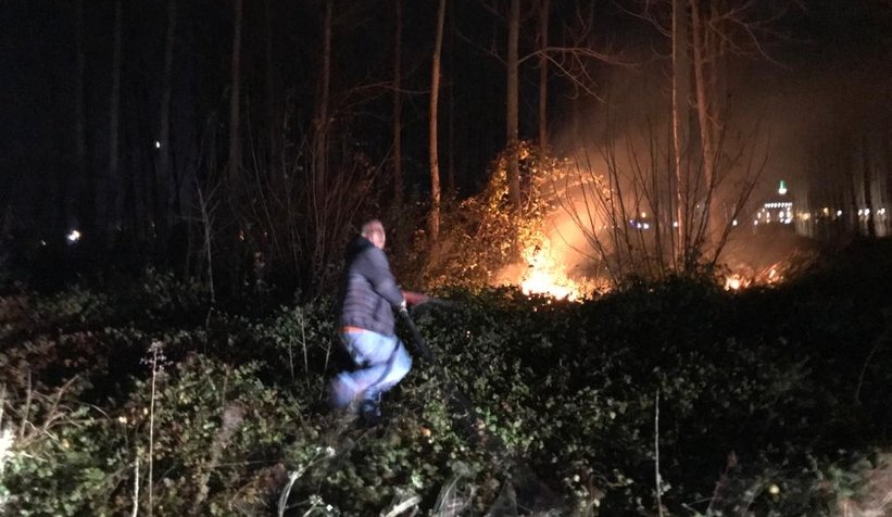 Akyazı'da anız ateşi ağaçları kül edecekti