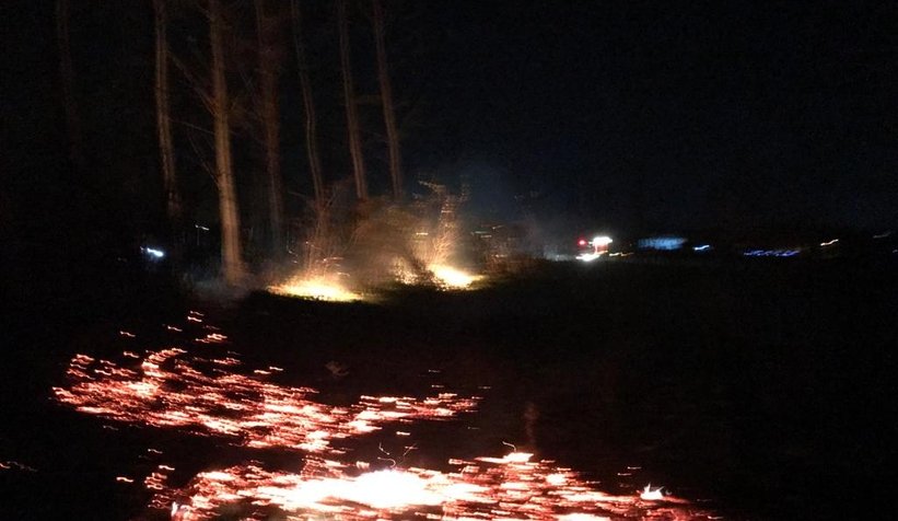 Akyazı'da anız ateşi ağaçları kül edecekti