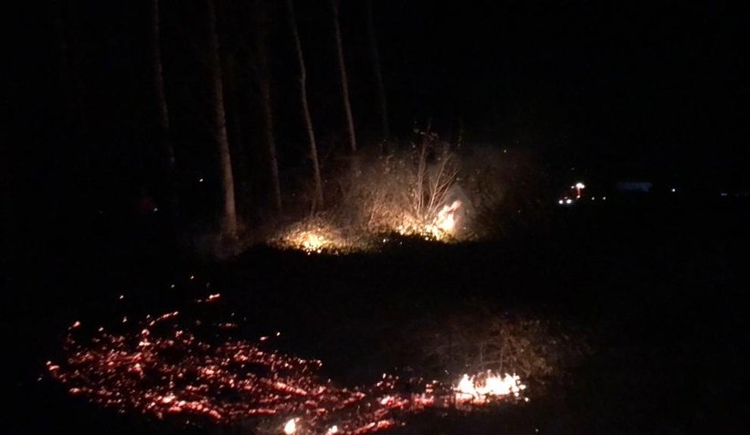 Akyazı'da anız ateşi ağaçları kül edecekti