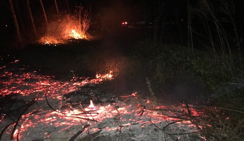 Akyazı'da anız ateşi ağaçları kül edecekti