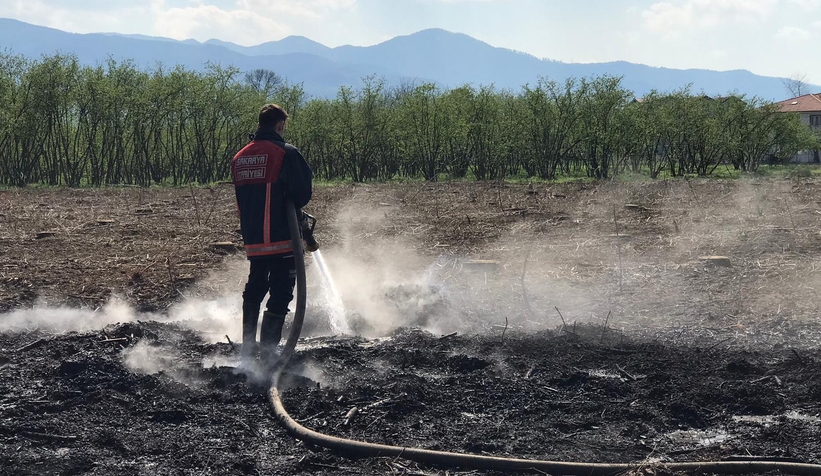 Akyazı'da anız yangını