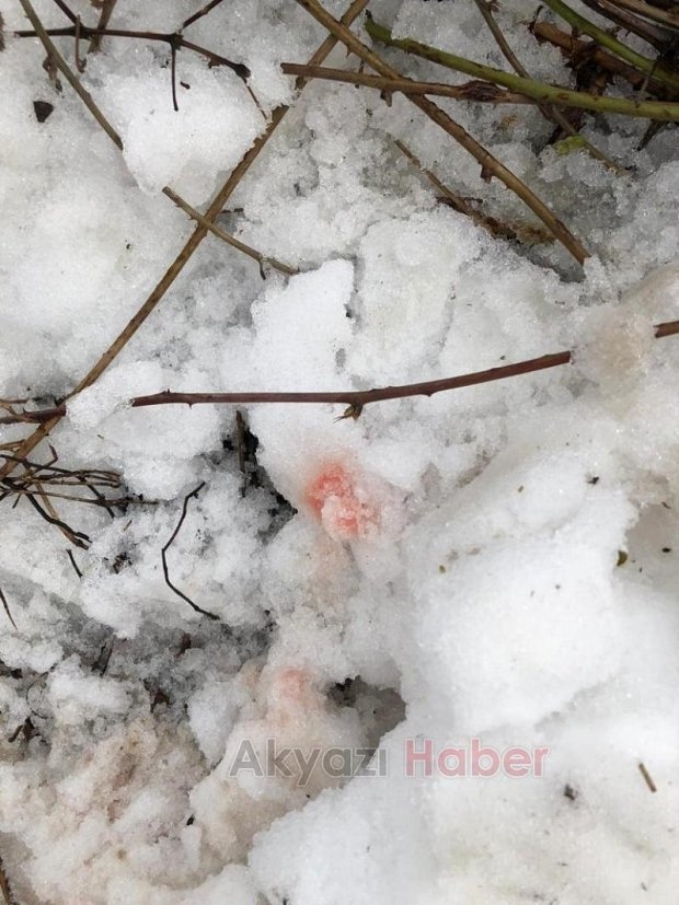 Akyazı'da aracının önünü kesip saldırdılar