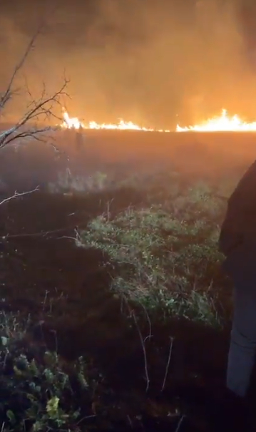 akyazi-da-arazi-yanginiqwqrqvbjuw