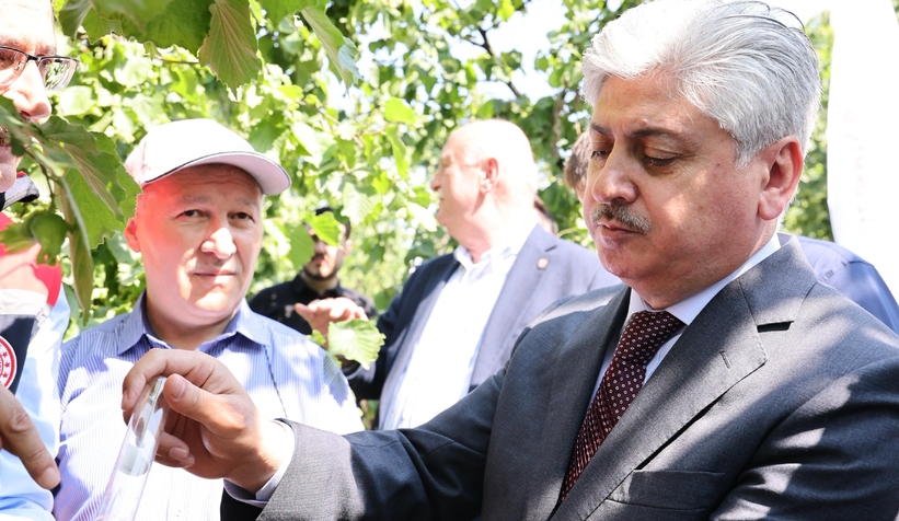 akyazi-da-binlerce-samuray-ari-dogaya-birakildickzxafjotu