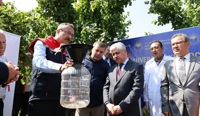 akyazi-da-binlerce-samuray-ari-dogaya-birakildickzxafjotu