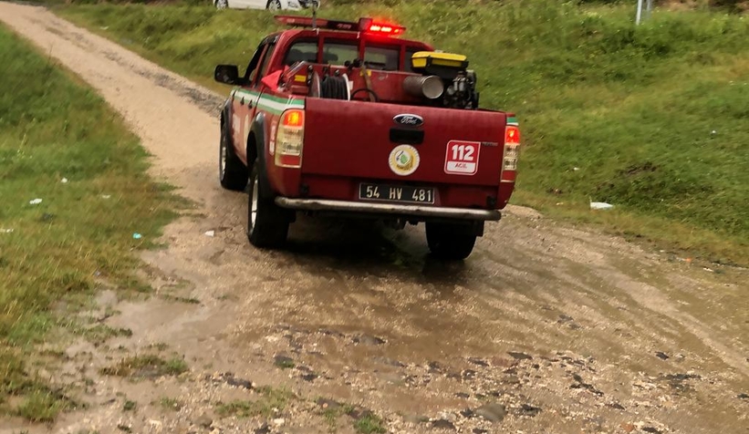 Akyazı'da bulunan yavru su samuru Milli Parklar'a teslim edildi