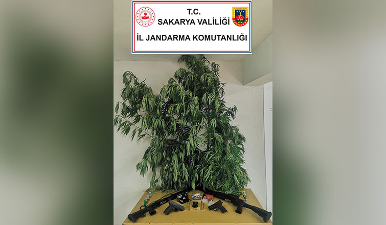 Akyazı'da çiftliğe uyuşturucu operasyonu