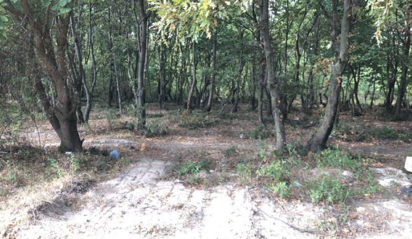 Akyazı'da esrarengiz kazı