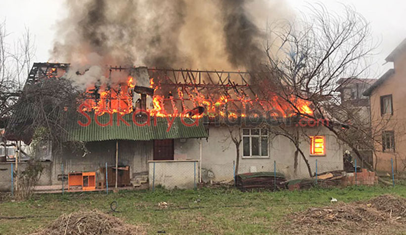 Akyazı'da ev alevlere teslim oldu