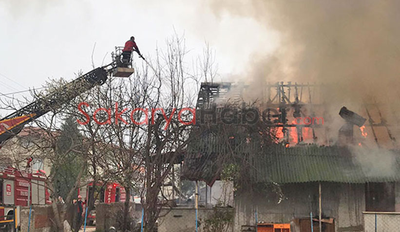 Akyazı'da ev alevlere teslim oldu