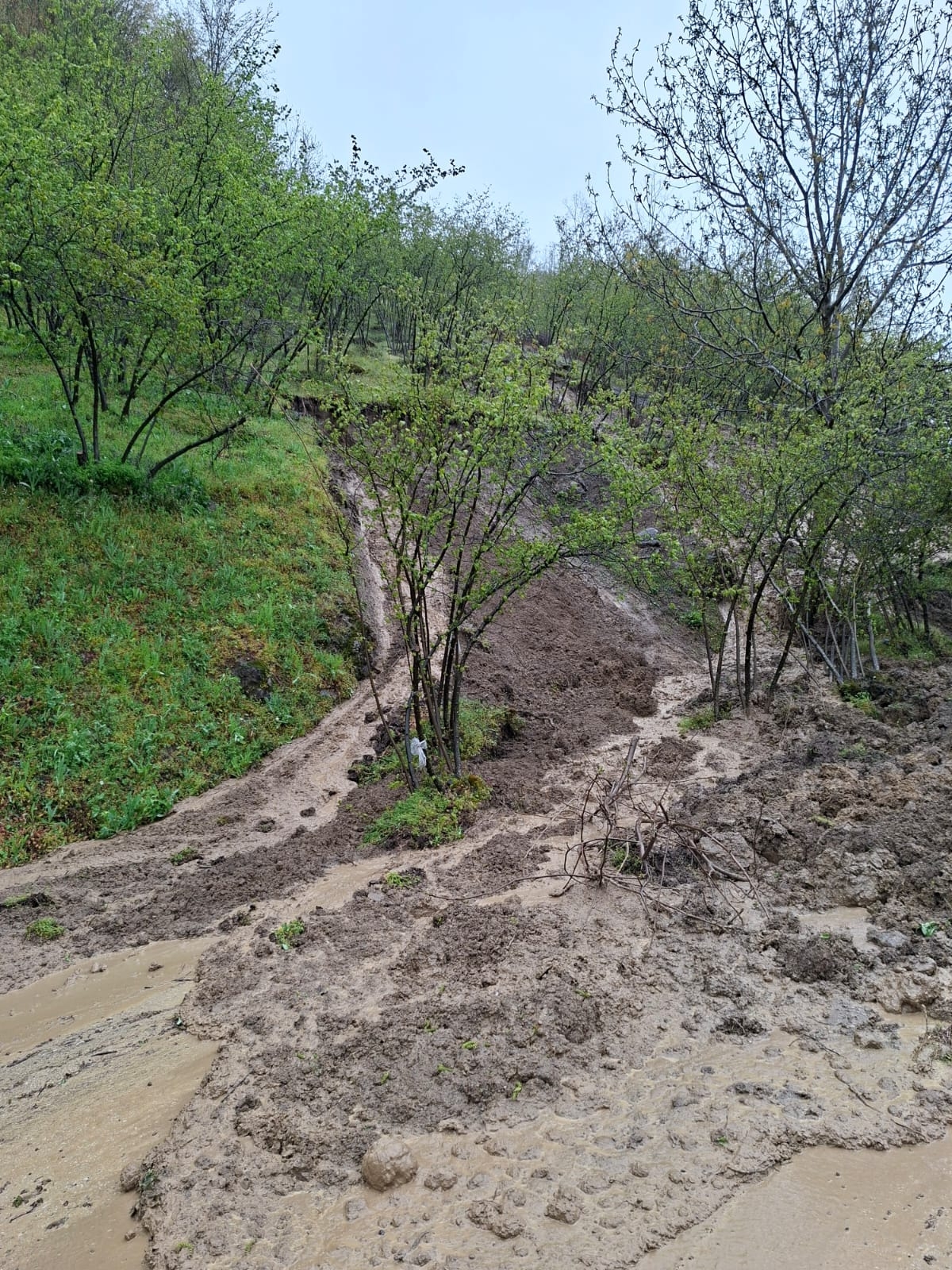 Akyazı'da heyelan; Yol ulaşıma kapandı