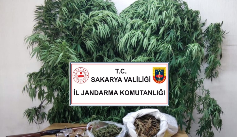 Akyazı'da jandarma uyuşturucu operasyonu