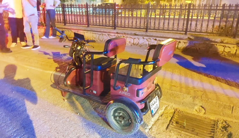 akyazi-da-kaza-anne-ve-kizi-yaralandiys96t3lkdd