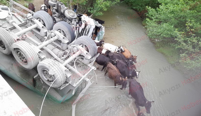 Akyazı'da Kaza Tır Dereye Uçtu 1 Yaralı