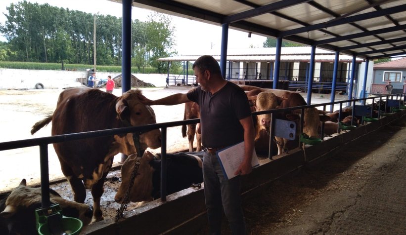 Akyazı'da kurban denetimleri başladı