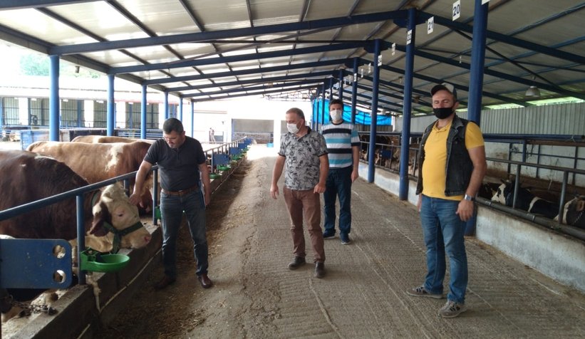 Akyazı'da kurban denetimleri başladı