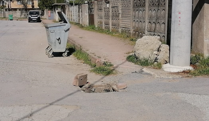 akyazi-da-mazgallar-calindid2dxu0zid3