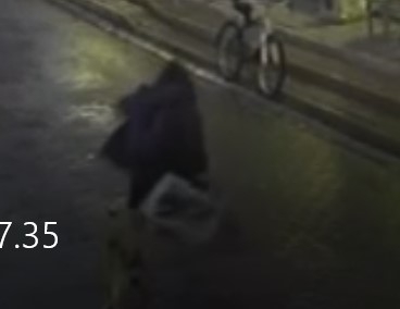 Akyazı'da okuldan dönen çocuğa sokak köpekleri saldırdı