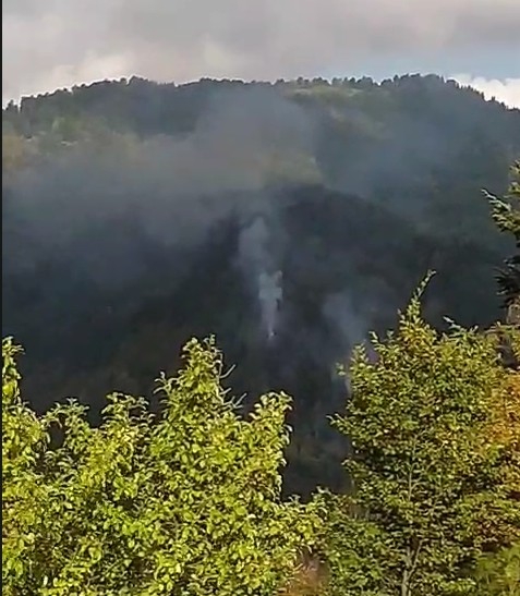 akyazi-da-orman-yangini-kontrol-altina-alindiouroyxn2tm