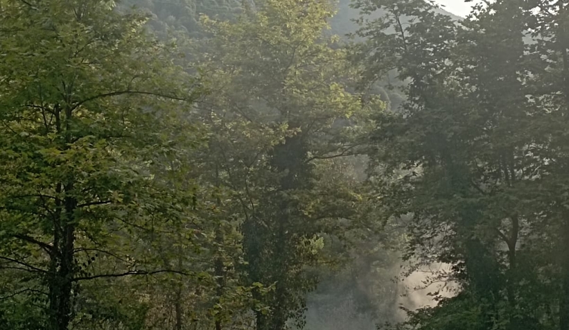 akyazi-da-ormanlik-alanda-yanginzjfoexjysn