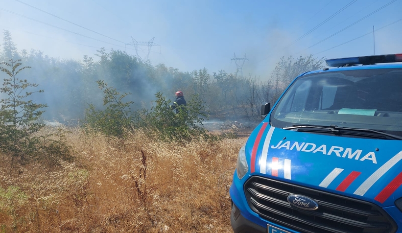 Akyazı'da otluk alanda çıkan yangın evlere ulaşmadan söndürüldü
