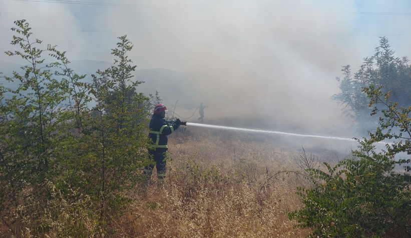 Akyazı'da otluk alanda çıkan yangın evlere ulaşmadan söndürüldü