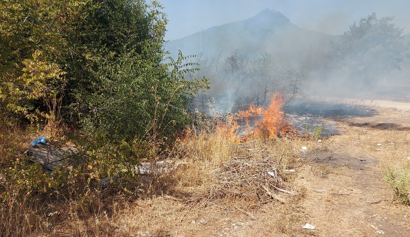 Akyazı'da otluk alanda çıkan yangın evlere ulaşmadan söndürüldü
