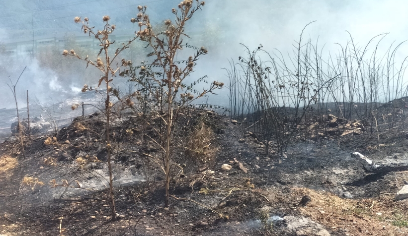 Akyazı'da otluk alanda çıkan yangın evlere ulaşmadan söndürüldü