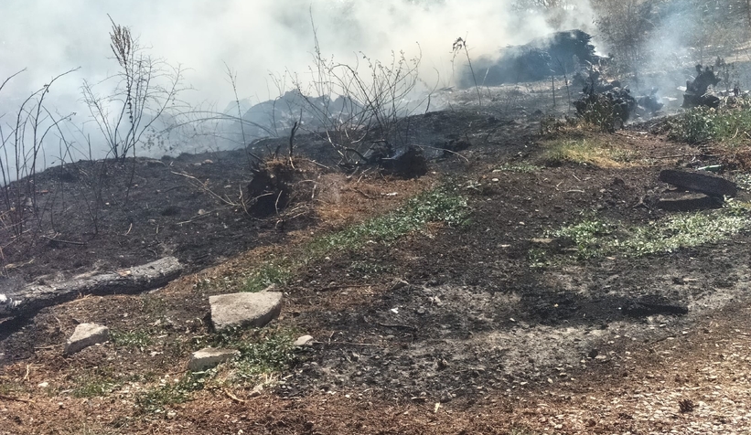 Akyazı'da otluk alanda çıkan yangın evlere ulaşmadan söndürüldü