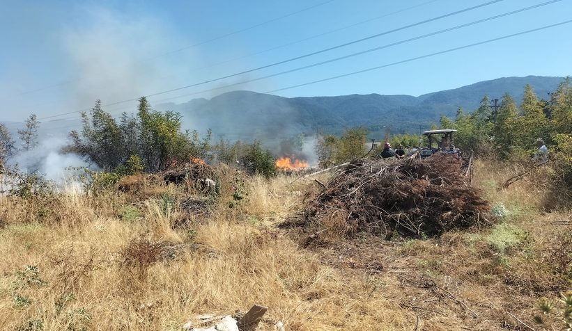 Akyazı'da otluk alanda çıkan yangın evlere ulaşmadan söndürüldü