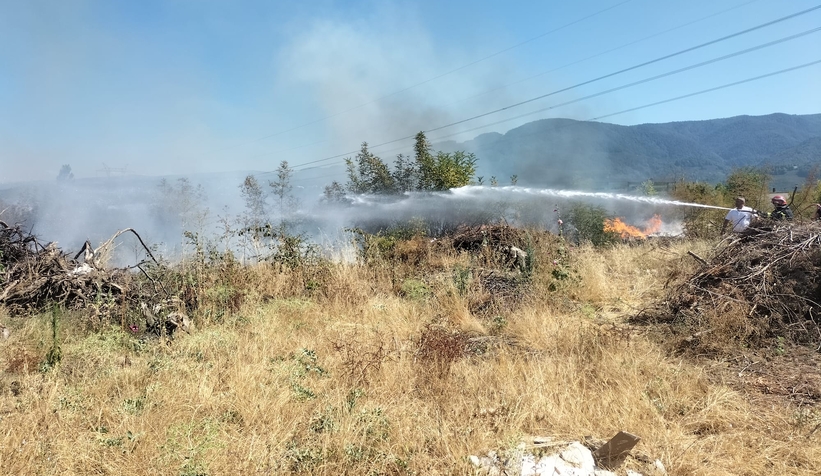 Akyazı'da otluk alanda çıkan yangın evlere ulaşmadan söndürüldü
