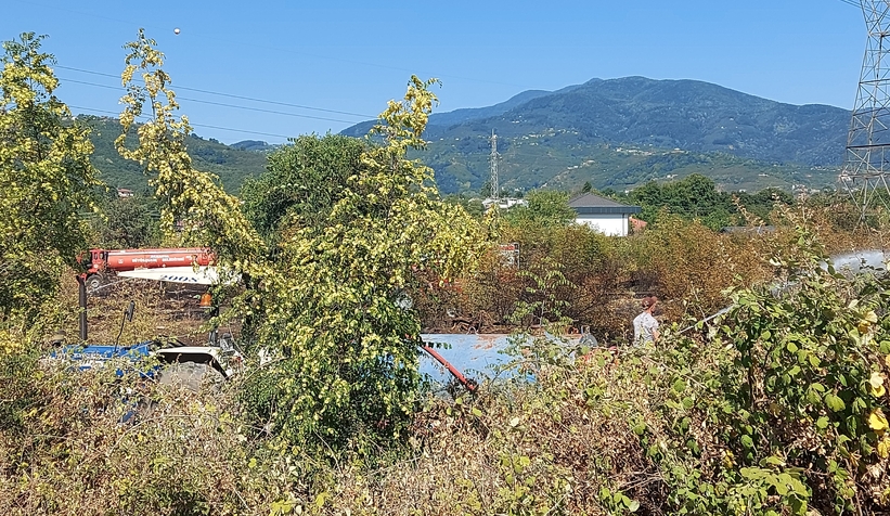 Akyazı'da otluk alanda çıkan yangın evlere ulaşmadan söndürüldü
