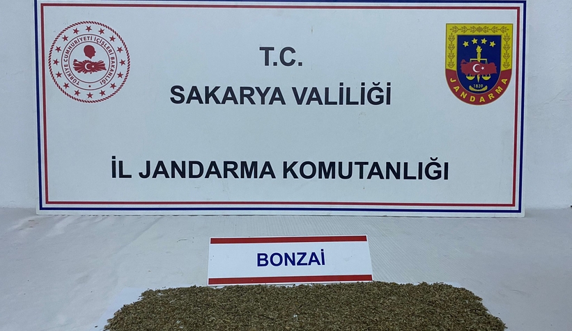 akyazi-da-polis-ve-jandarmadan-uyusturucuya-darbevguzymrrth