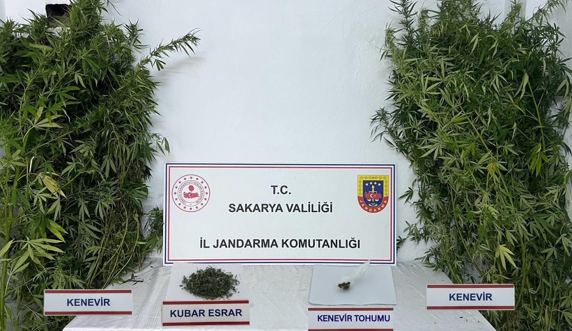 akyazi-da-polis-ve-jandarmadan-uyusturucuya-darbevguzymrrth