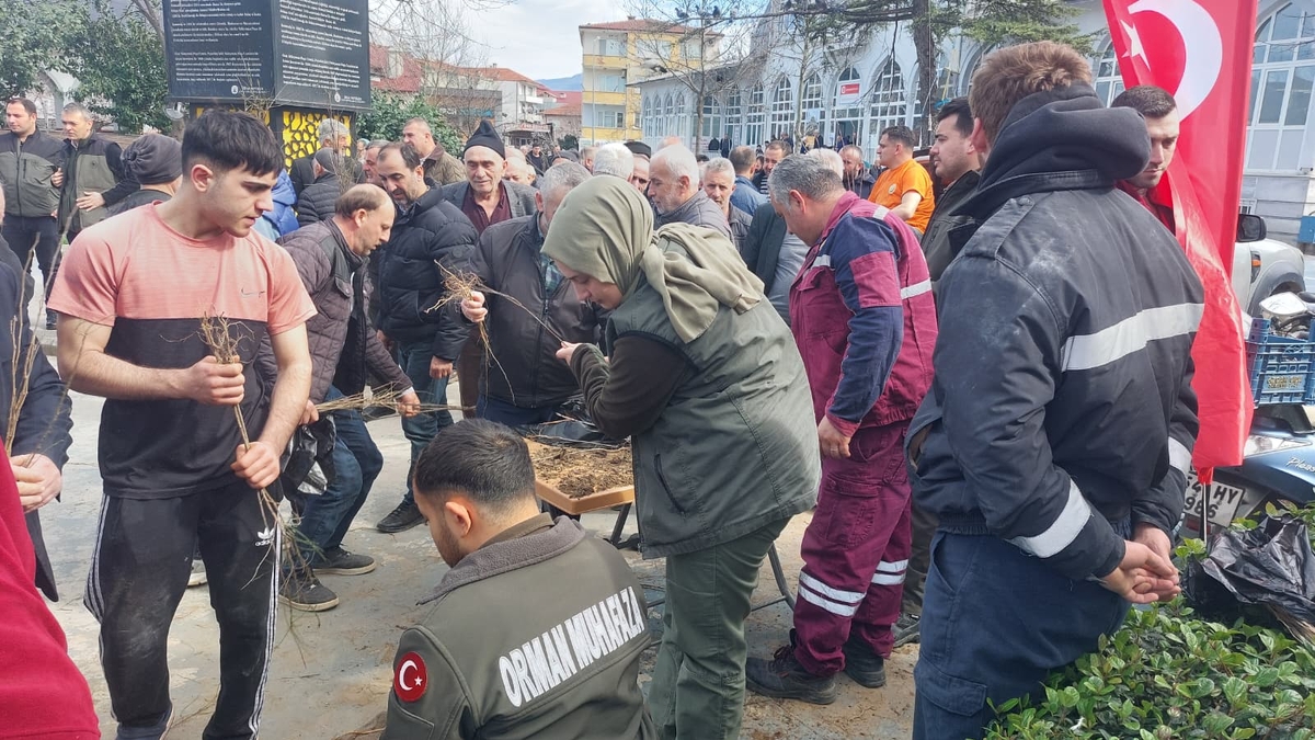 Akyazı'da ücretsiz meyve fidanı dağıtıldı